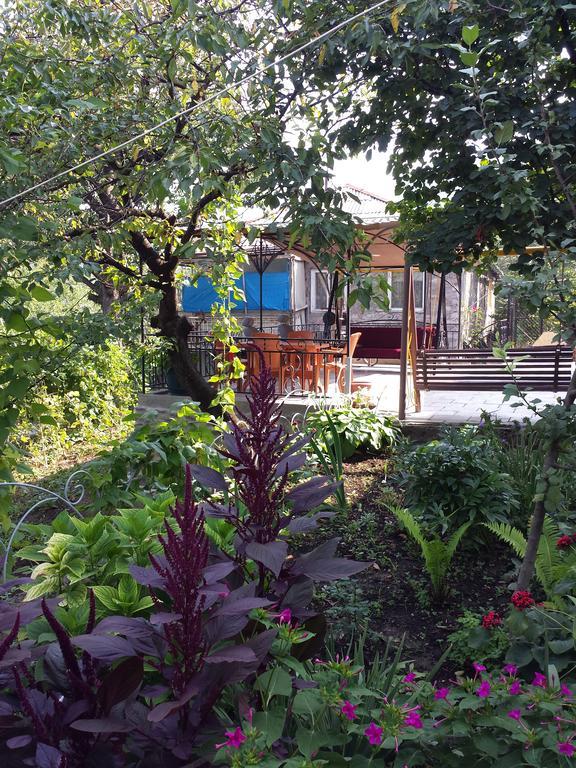 Bacho,S Cottage Borjomi Εξωτερικό φωτογραφία