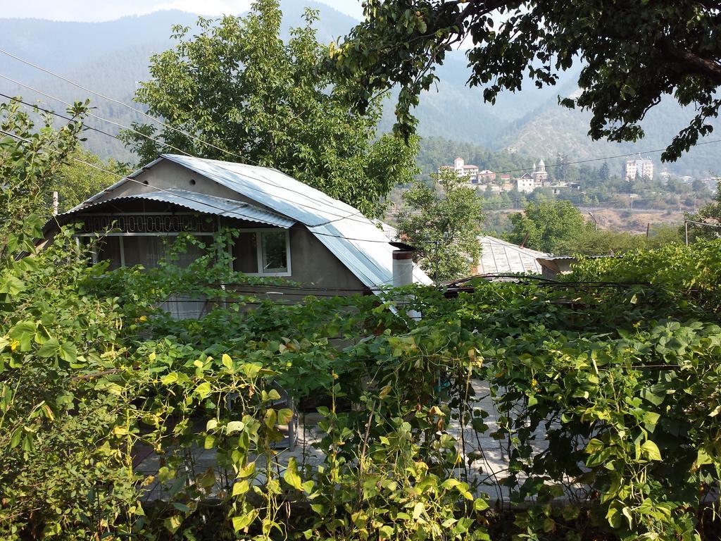 Bacho,S Cottage Borjomi Εξωτερικό φωτογραφία