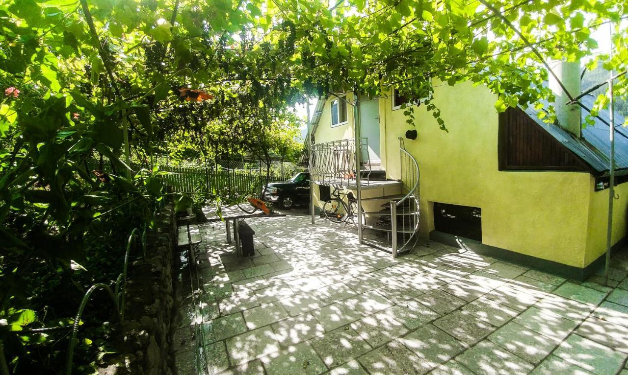 Bacho,S Cottage Borjomi Εξωτερικό φωτογραφία