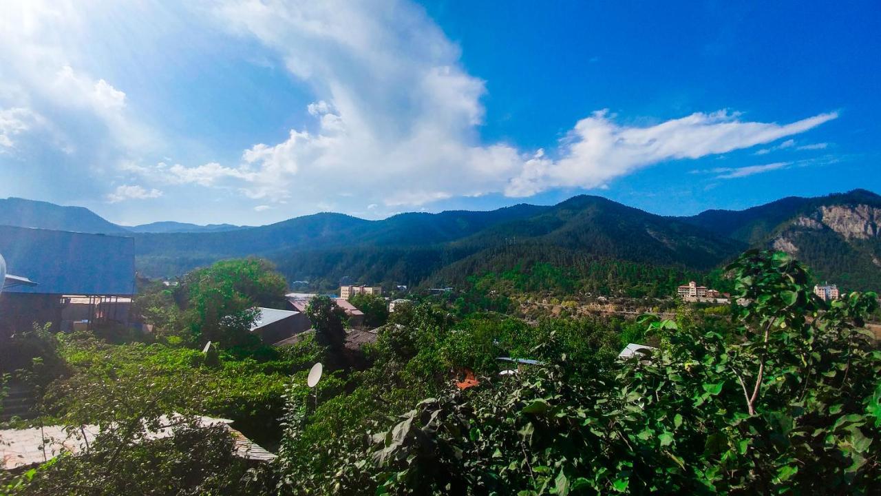 Bacho,S Cottage Borjomi Εξωτερικό φωτογραφία